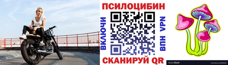 Галлюциногенные грибы Cubensis  магазин продажи   Краснознаменск 